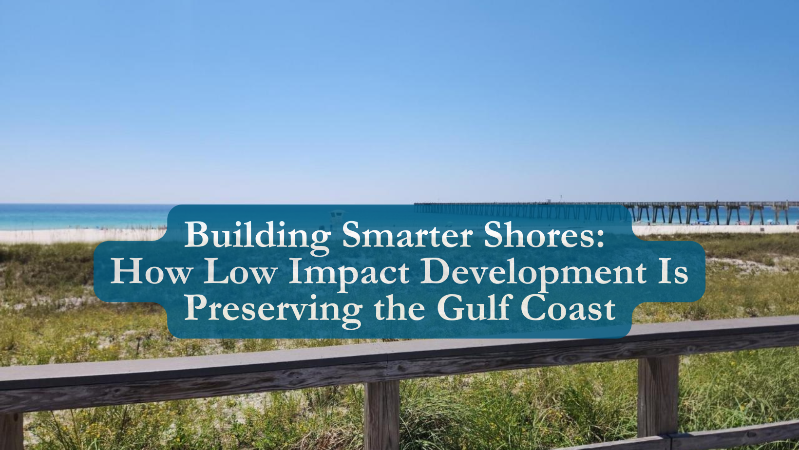 Building Smarter Shores: How Low Impact Development Is Preserving the Gulf Coast